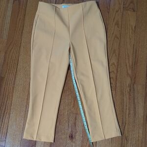 Rachel Zoe Mustard Yellow Garment